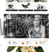 Website Banners