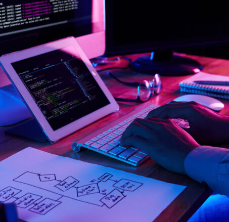 Freelance programmer